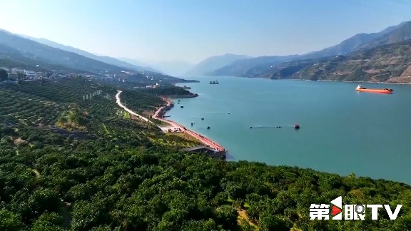 重庆林长制推动生态守护与绿色产业协同发展