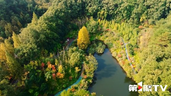 重庆林长制推动生态守护与绿色产业协同发展