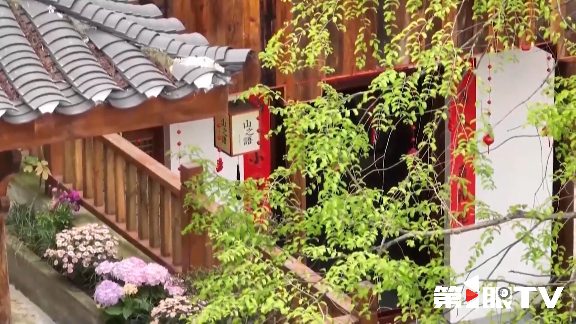 重庆林长制推动生态守护与绿色产业协同发展