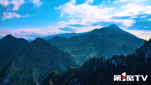 重庆林长制推动生态守护与绿色产业协同发展