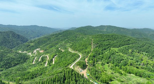 西北首个"自然城市"固原，生态蝶变惊艳全球