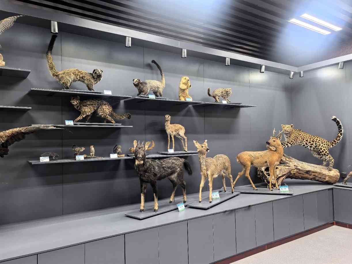 西北首个"自然城市"固原，生态蝶变惊艳全球