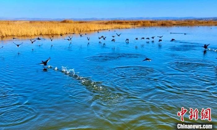 宁夏原州山水工程改善生态提升民生