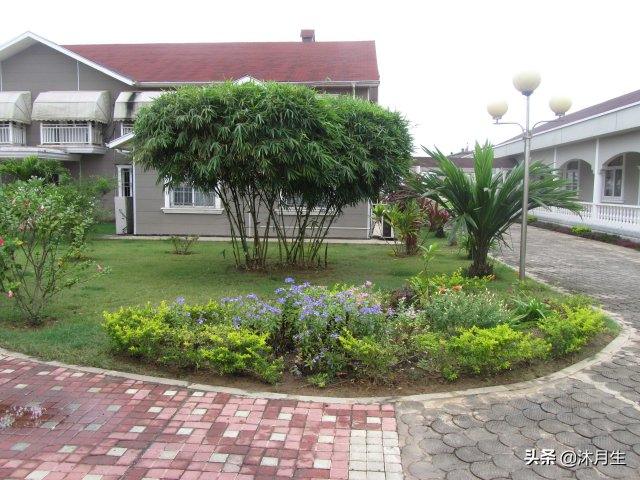 园林绿化是国家战略，利润很高，了解行业标准财富滚滚来(图2)