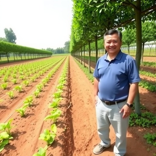 安徽枞阳消费扶贫助贫困户增收