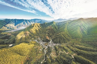 安徽推进绿美江淮行动 科学绿化覆盖提质