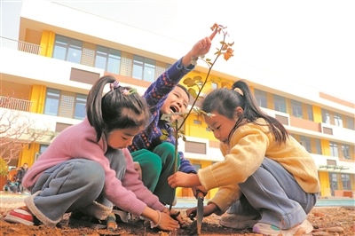 中国生态绿化成果显著 高质量发展新动能