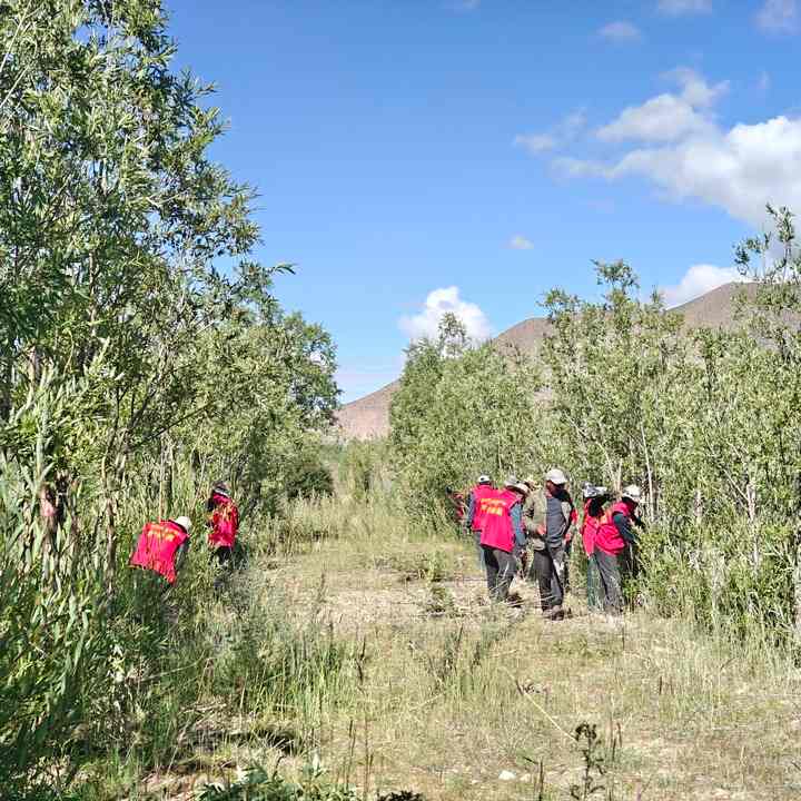 西部生态修复破解脆弱区难题 打造绿色生命线
