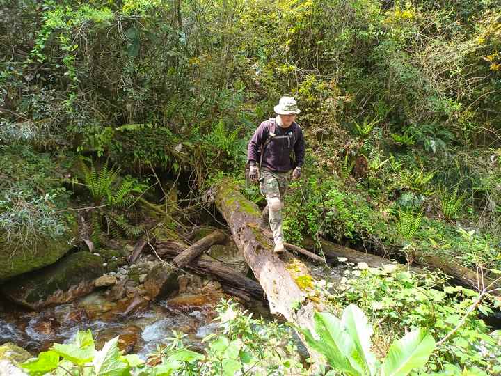 西部生态修复破解脆弱区难题 打造绿色生命线