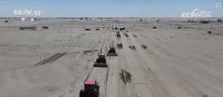 我国加快国土绿化推进森林质量提升