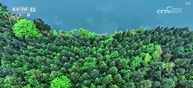 我国加快国土绿化推进森林质量提升