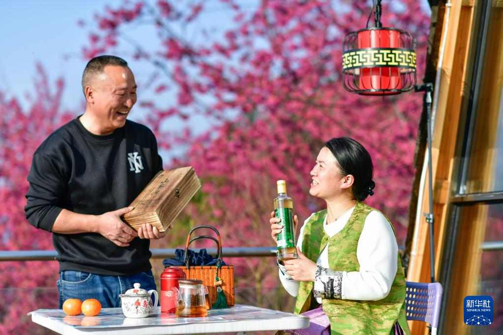 荒山变青山油茶生态园带动就业助力乡村经济发展