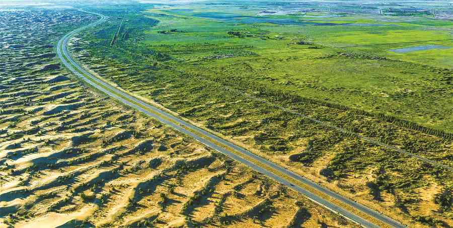 全国绿化行动成效显著 生态治理成果凸显