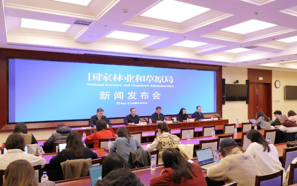 2024年中国国土绿化行动成果显著，推进2025年高质量发展