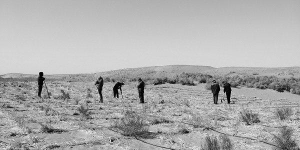 “三北”科学植树造林：以水定绿，系统治理护生态屏障