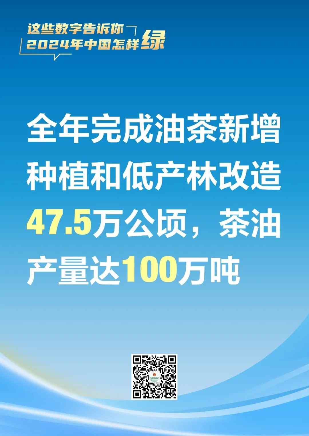 2024年中国国土绿化成果显著，生态建设持续推进