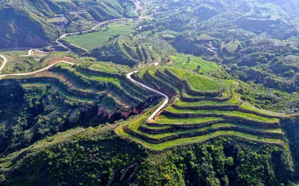 山西科学推进国土绿化提升森林覆盖率至22.6%