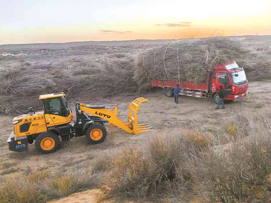 鄂尔多斯春季造林筹备全面就绪 高效生态治理显成效