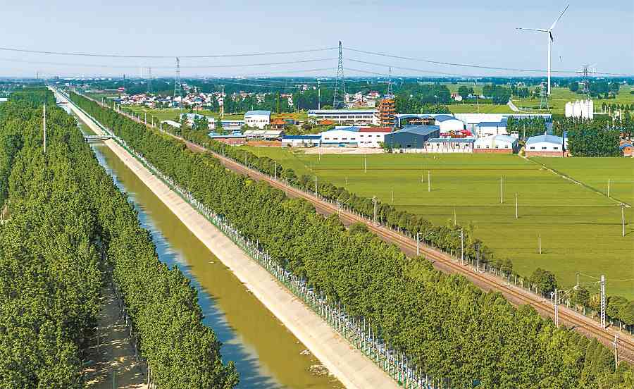 平原农区如何科学开展国土绿化？