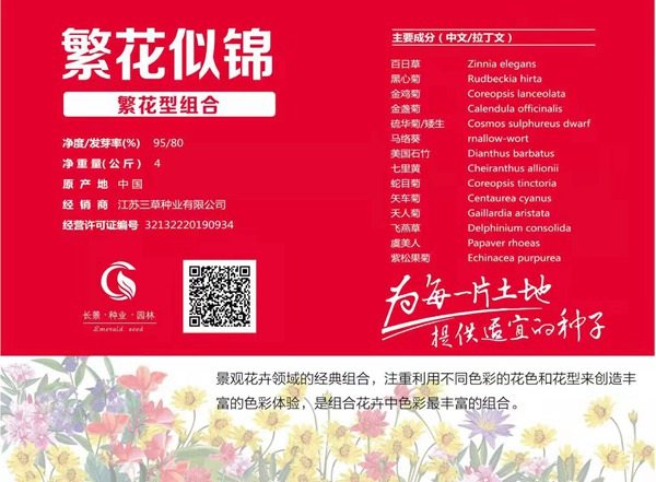 繁花型野花组合_图片_种子价格