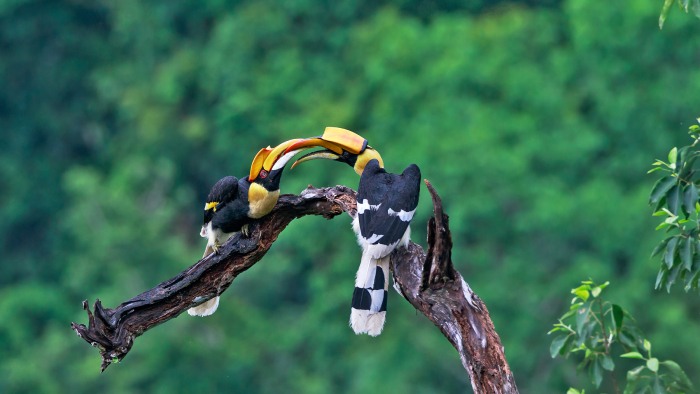 云南：好生态，与生俱来的“标签”