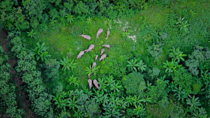 云南：好生态，与生俱来的“标签”