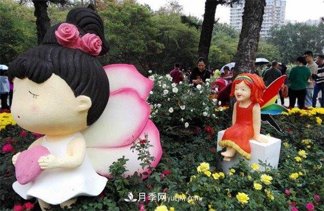 好多年没到深圳人民公园看月季花展了，不知今年如何(图4)