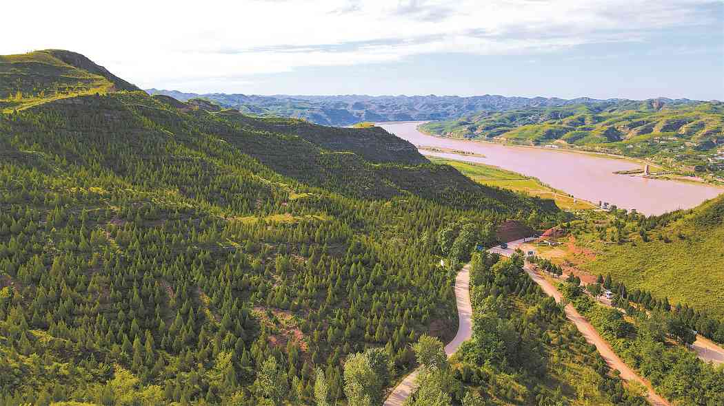全力挺进扩绿主战场——“绘就绿水青山新画卷”系列报道之一