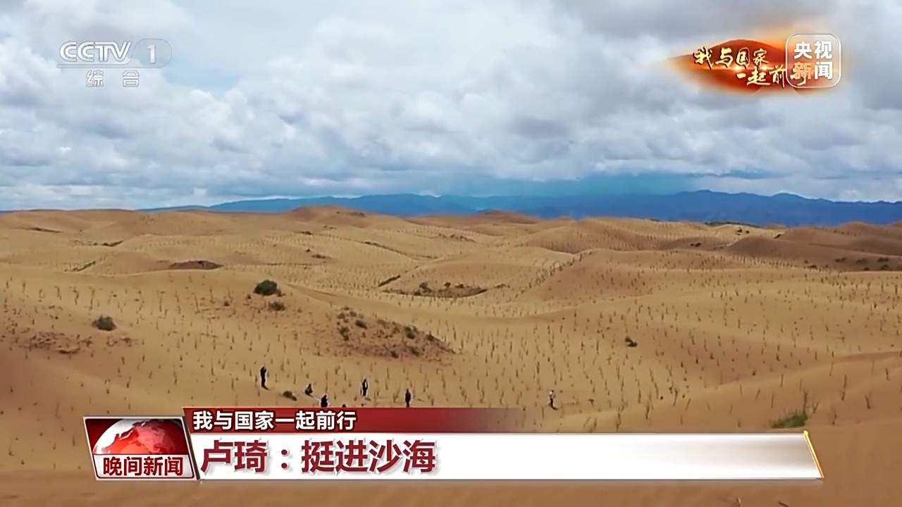 挺进沙海！他说接下来要把由黄变绿的沙漠再变美