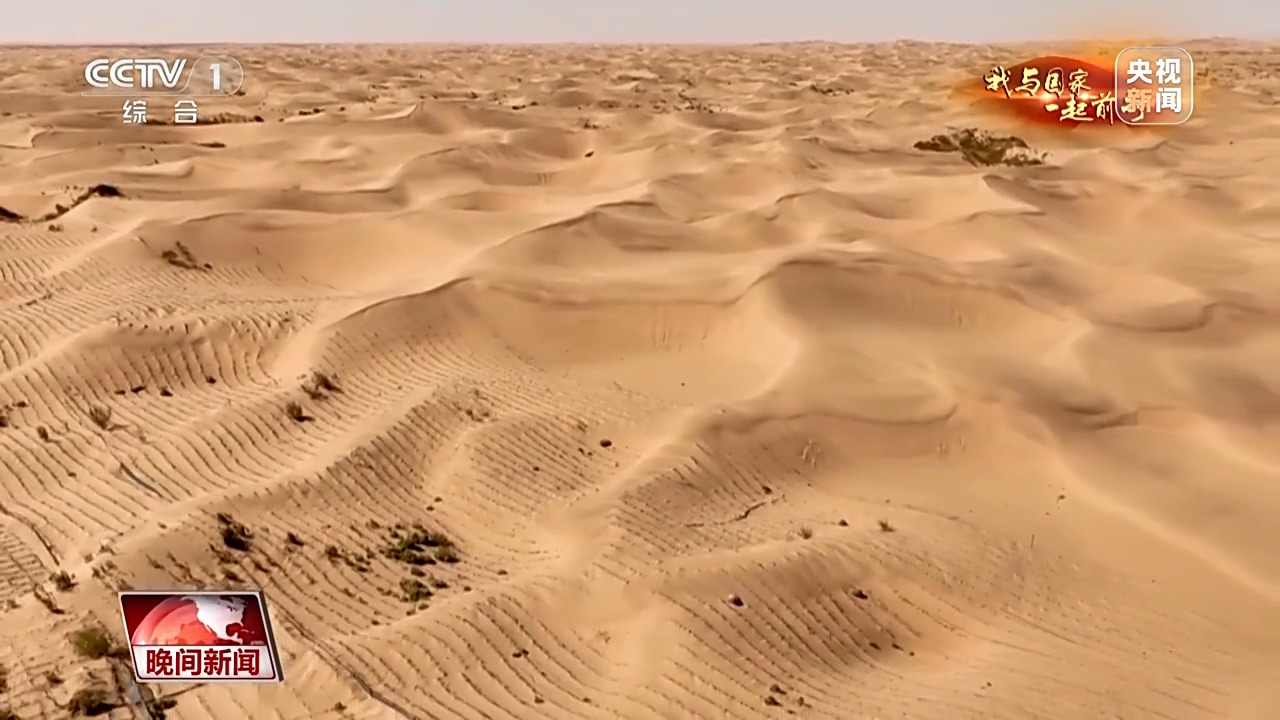 挺进沙海！他说接下来要把由黄变绿的沙漠再变美
