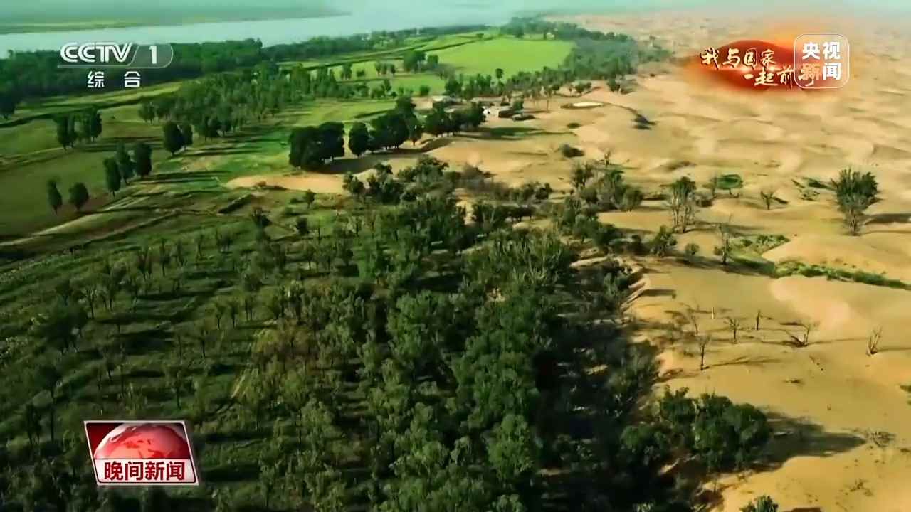 挺进沙海！他说接下来要把由黄变绿的沙漠再变美