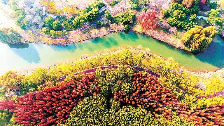 江西新余美山水如画卷