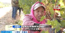"十四五绿色转型成果显著，生态修复与产业发展双赢"