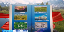 "十四五绿色转型成果显著，生态修复与产业发展双赢"
