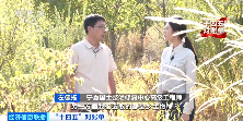"十四五绿色转型成果显著，生态修复与产业发展双赢"