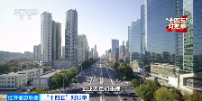 "十四五绿色转型成果显著，生态修复与产业发展双赢"