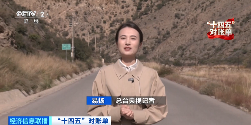 "十四五绿色转型成果显著，生态修复与产业发展双赢"