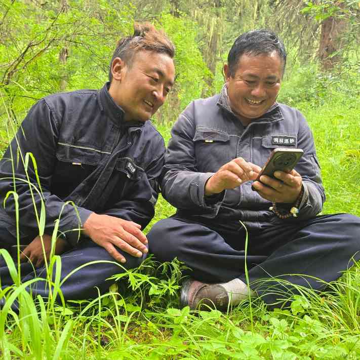 玛可河林区生态保护转型成果：森林覆盖与珍稀物种恢复