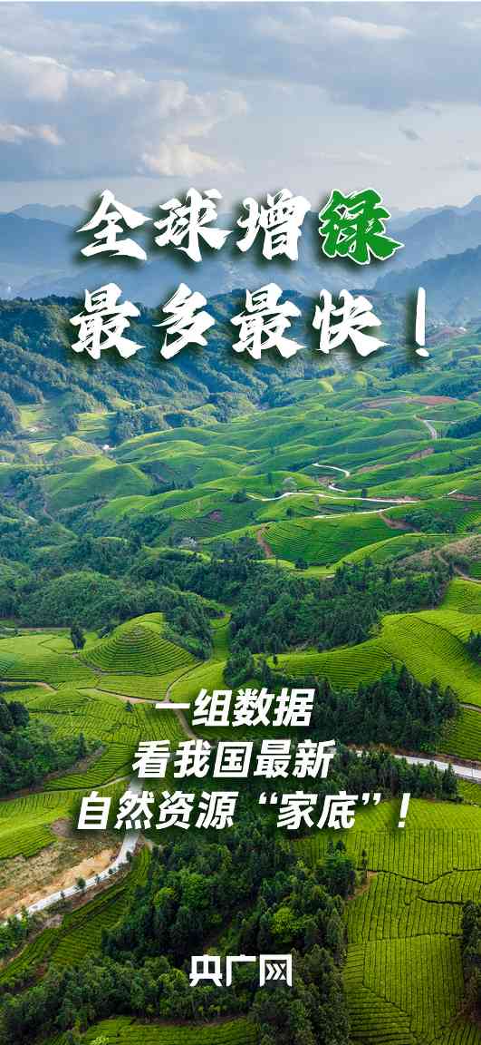 "自然资源高质量发展成效凸显，耕地森林数据引关注"
