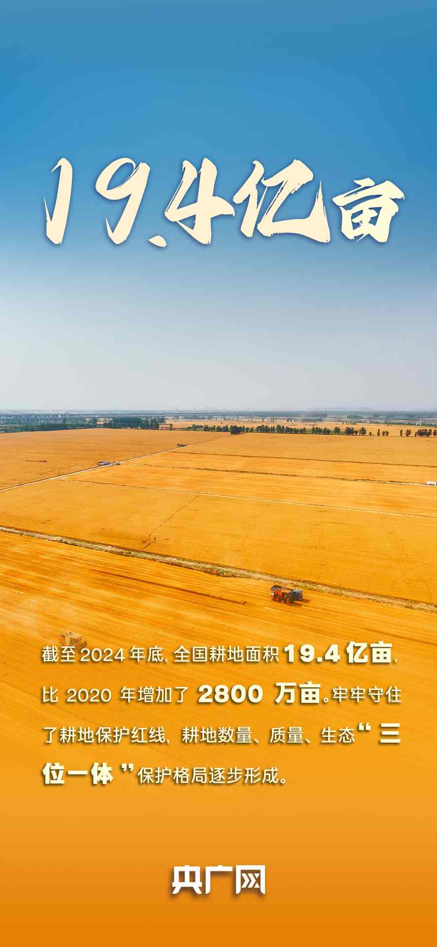 "自然资源高质量发展成效凸显，耕地森林数据引关注"