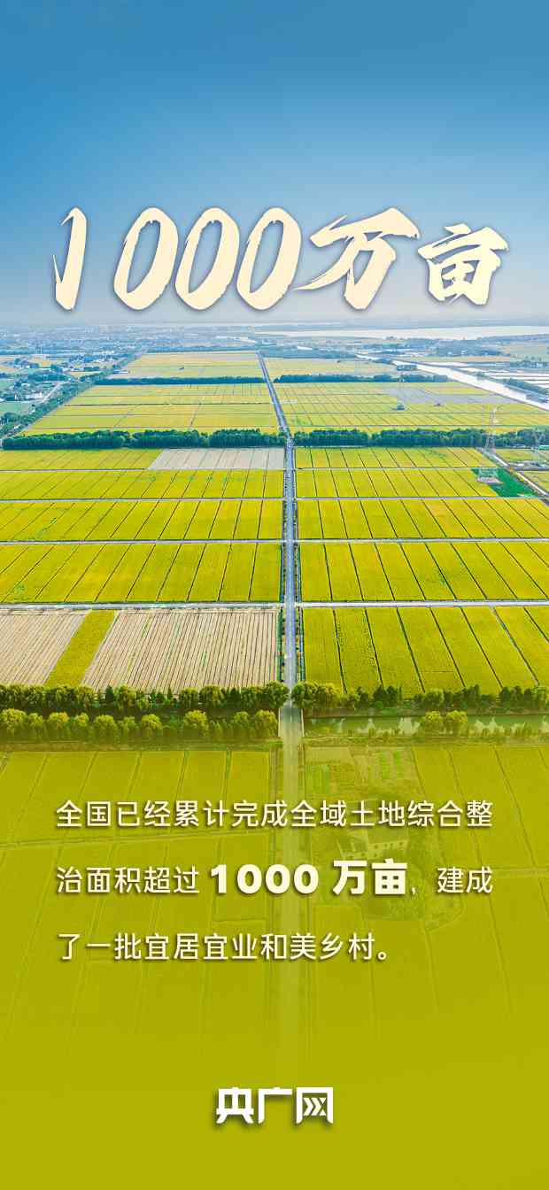 "自然资源高质量发展成效凸显，耕地森林数据引关注"