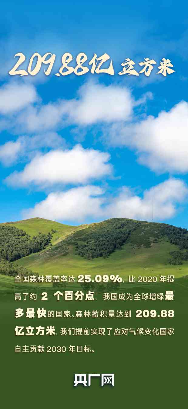 "自然资源高质量发展成效凸显，耕地森林数据引关注"