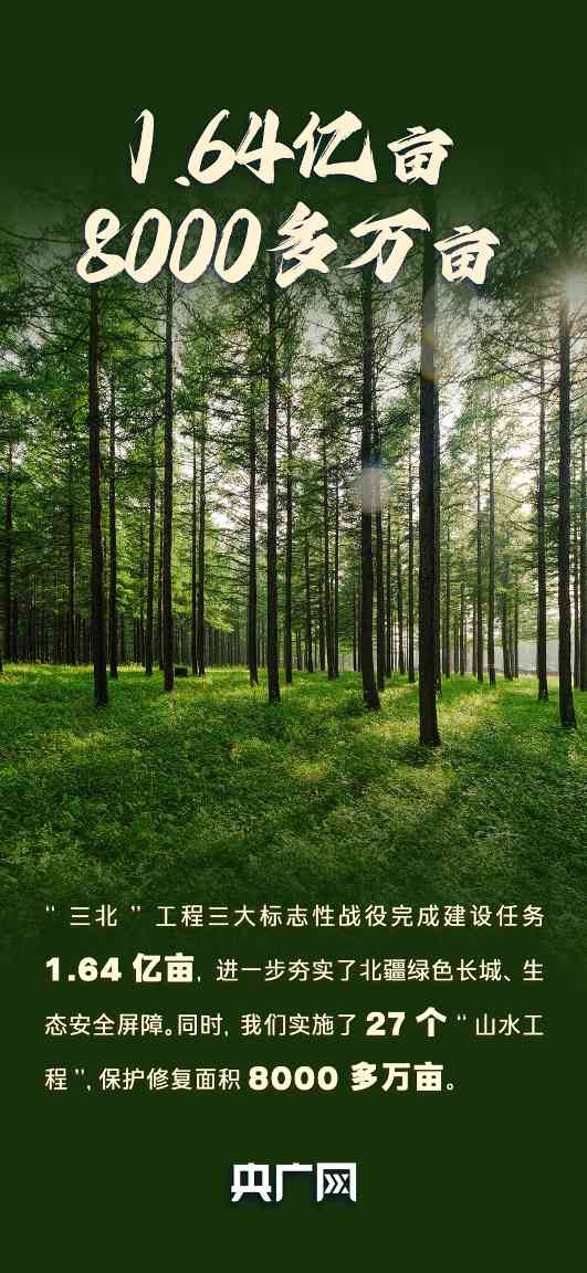 "自然资源高质量发展成效凸显，耕地森林数据引关注"