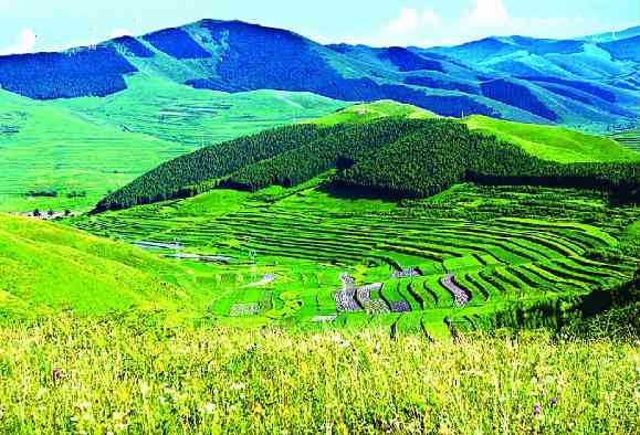 张家口张北草原天路生态与经济效益双提升
