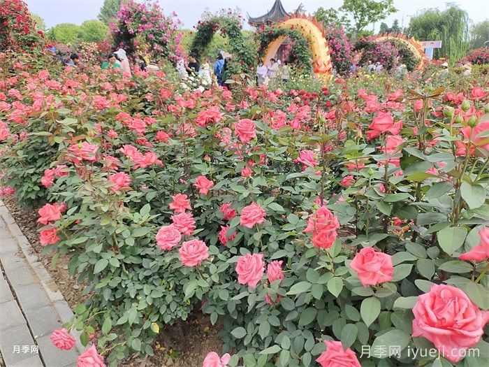 风景园林的未来会变好吗?重新定义(图1) 风景园林的未来会变好吗?重新定义(图1)