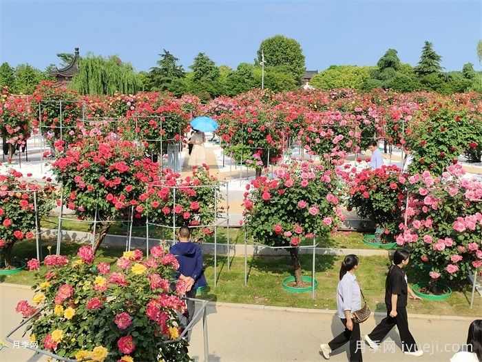 风景园林的未来会变好吗?重新定义(图2) 风景园林的未来会变好吗?重新定义(图2)