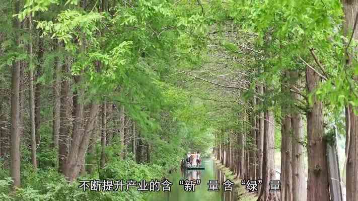 生态治理创新：甘肃、山西等地探索可持续发展路径