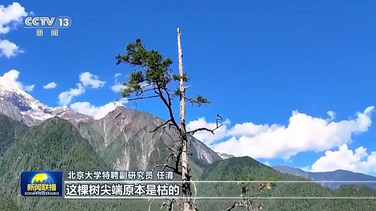 中国持续推进增绿行动 森林增长筑牢生态屏障 中国持续推进增绿行动 森林增长筑牢生态屏障