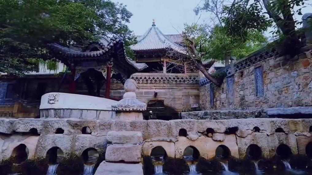 从治理到共赢：生态修复绘就绿色发展画卷