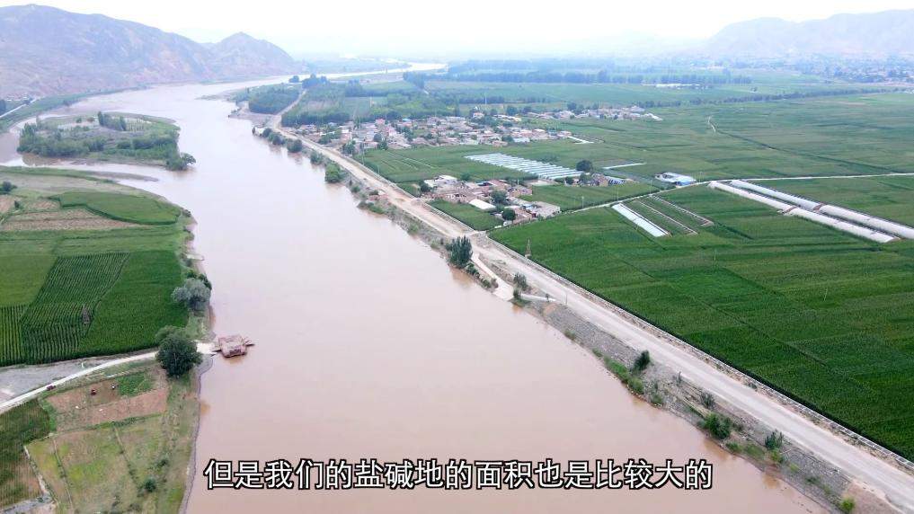 从治理到共赢：生态修复绘就绿色发展画卷